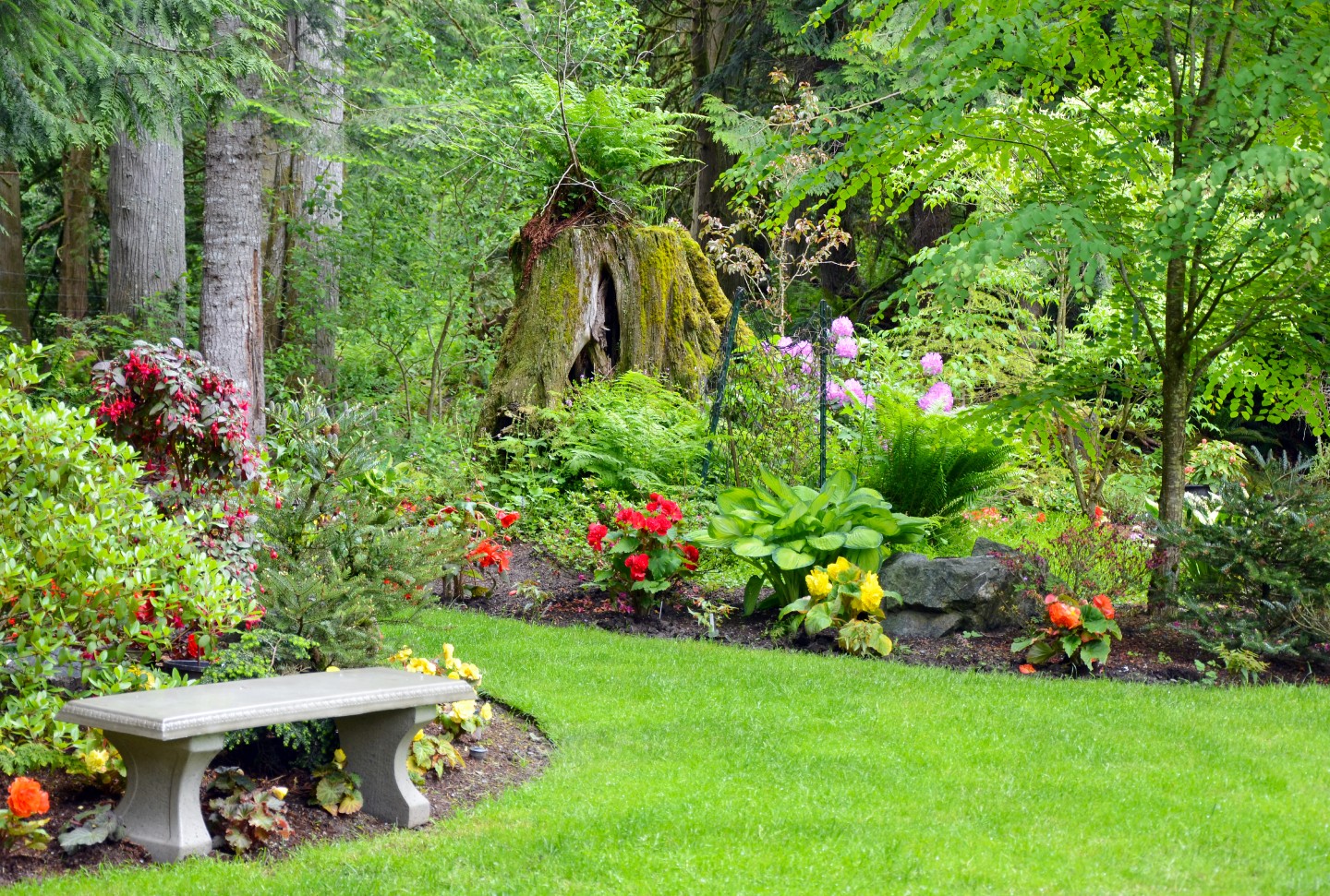 Residential Landscape design flowers trees shrubs irrigation Landscaping MD LLC Vancouver Washington