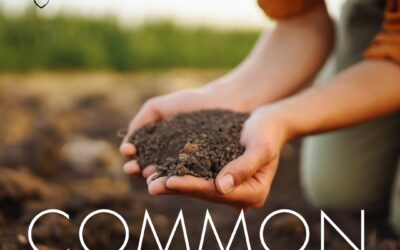 Common Fertilizer Myths