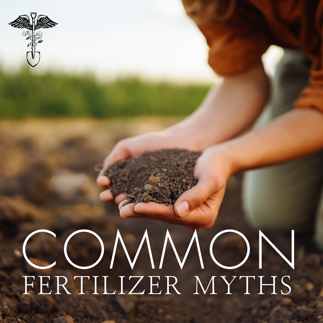 Common Fertilizer Myths about your landscape and backyard in Ridgefield, Washington