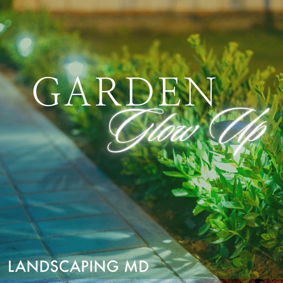 Add some Beautiful Garden Lighting to your yard and make your landscape glow in Ridgefield, Washington