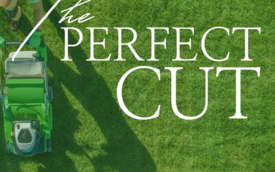 The Perfect Cut Height for Lawns