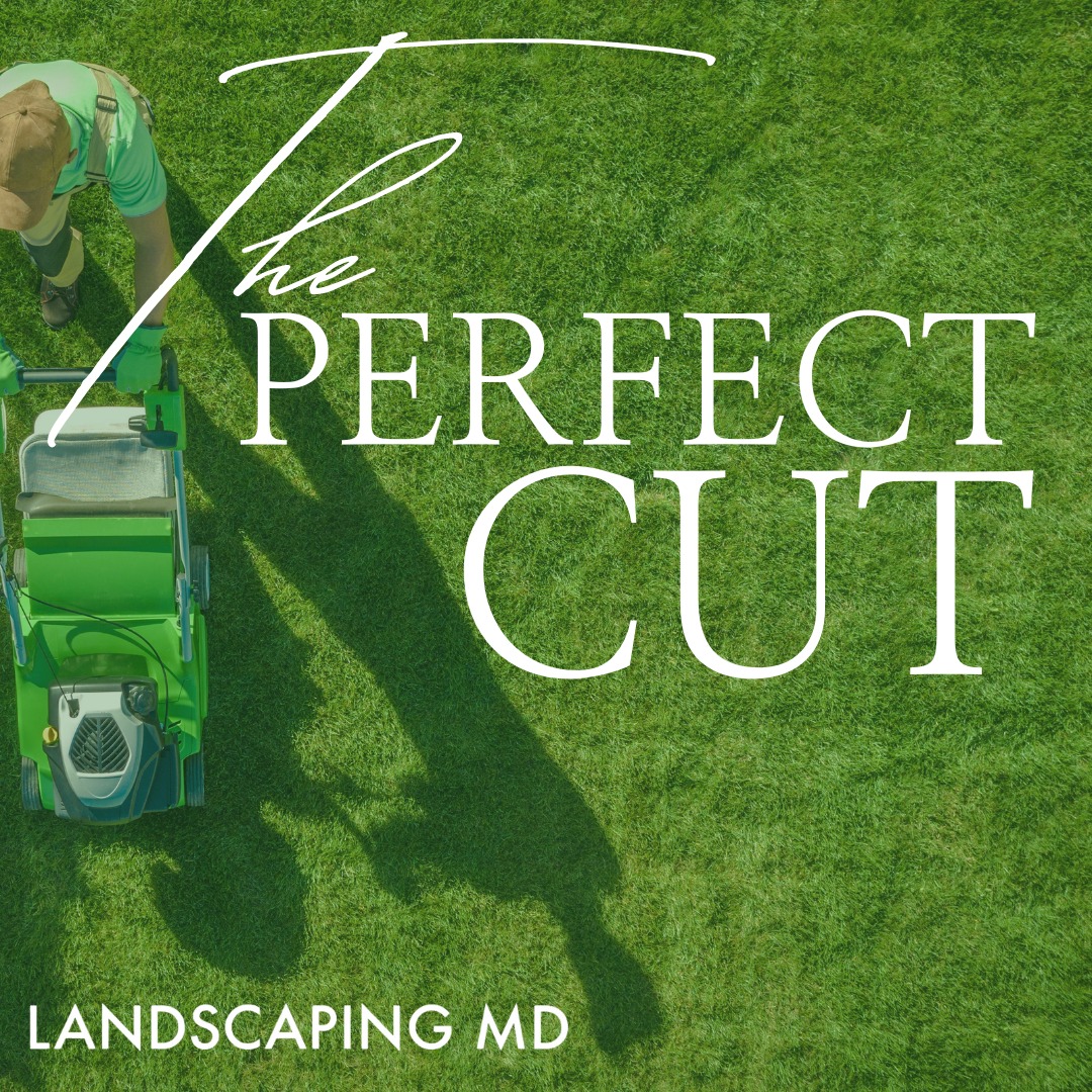 How to achieve Lawn Cutting that makes your yard stand out, landscaping in Ridgefield, Washington