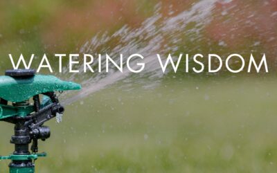 Watering Wisdom