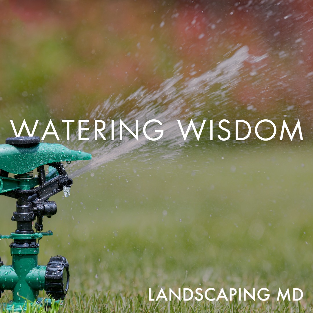 Watering your yard to keep your lawn lush, landscaping in Ridgefield, Washington