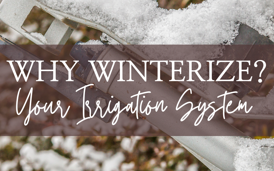 Winterize Irrigation Systems