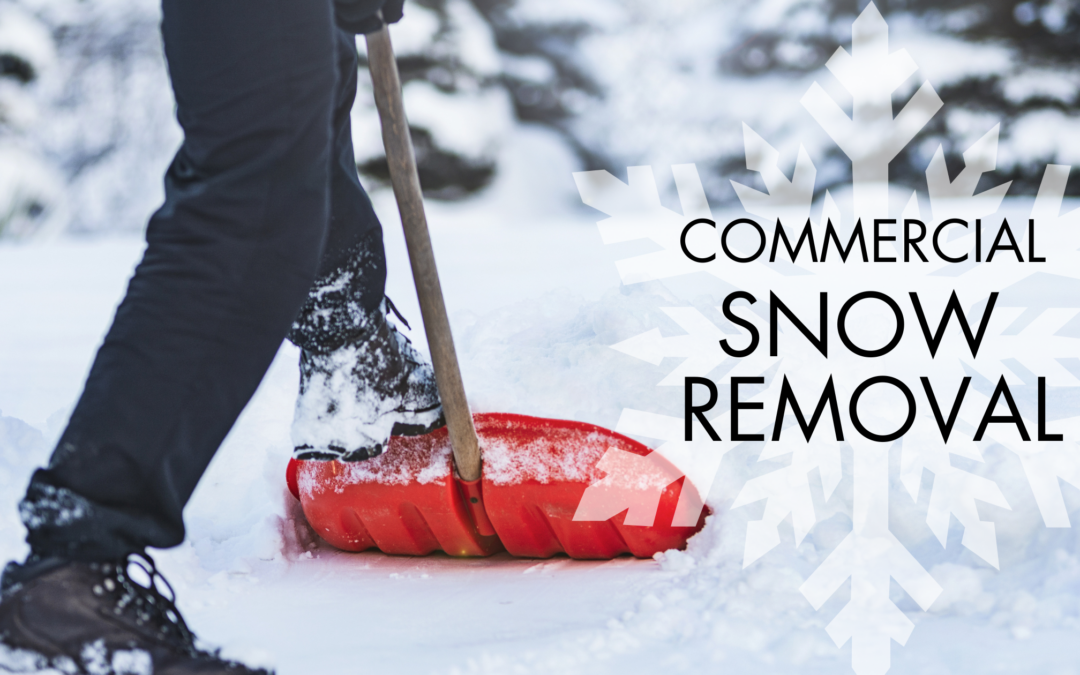 Commercial snow removal services clearing snow from a parking lot with heavy-duty equipment during a winter storm.