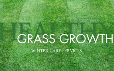 Winter Lawn Care: Preparing for a Healthy Spring