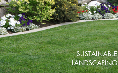 Go Green with Sustainable Landscaping: Eco-Friendly Tips for Your Lawn