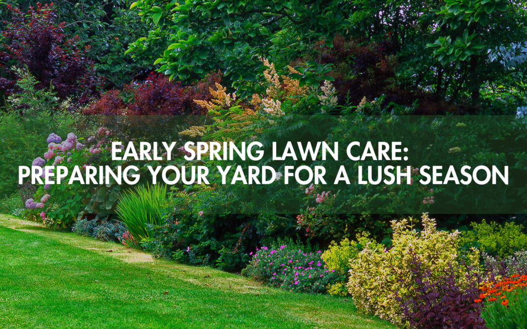 A well-maintained lawn in early spring with vibrant green grass, freshly aerated soil, and a homeowner applying fertilizer for healthy growth.