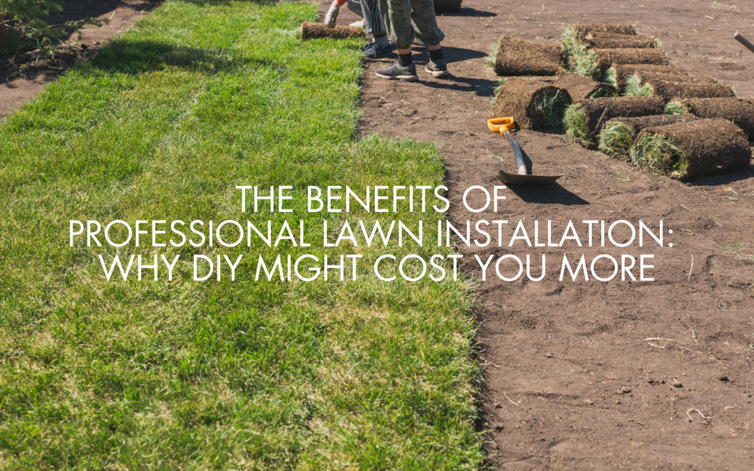 A beautifully landscaped lawn with professional installation showcasing lush, green grass and neat borders.