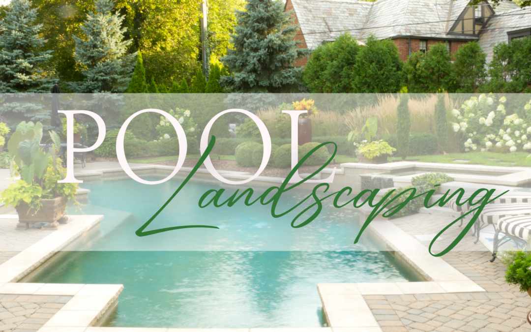 An elegantly landscaped swimming pool area in Ridgefield, WA, featuring native plants, ambient lighting, and stylish seating, creating a perfect blend of beauty and functionality.