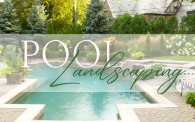 Transform Your Outdoor Space with Pool Landscaping