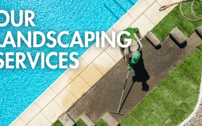 Discover Our Comprehensive Landscaping Services