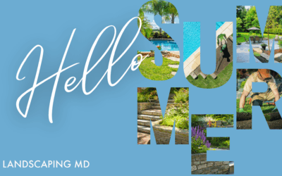 Hello Summer – Get Your Yard Ready for Fun in the Sun