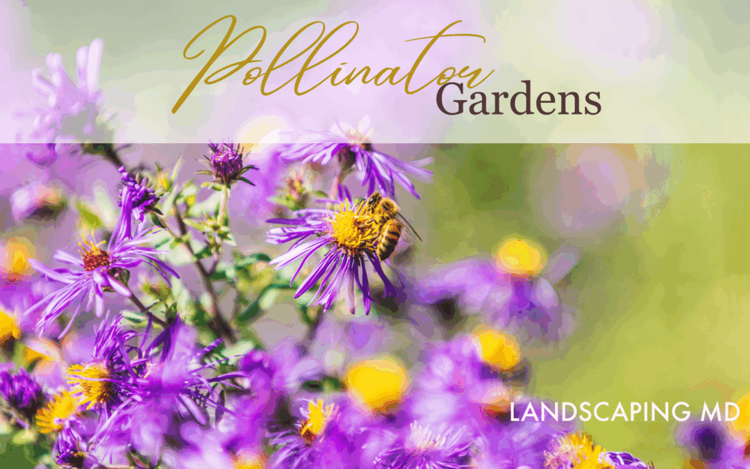 Pollinator garden in Ridgefield, WA with bees and flowers